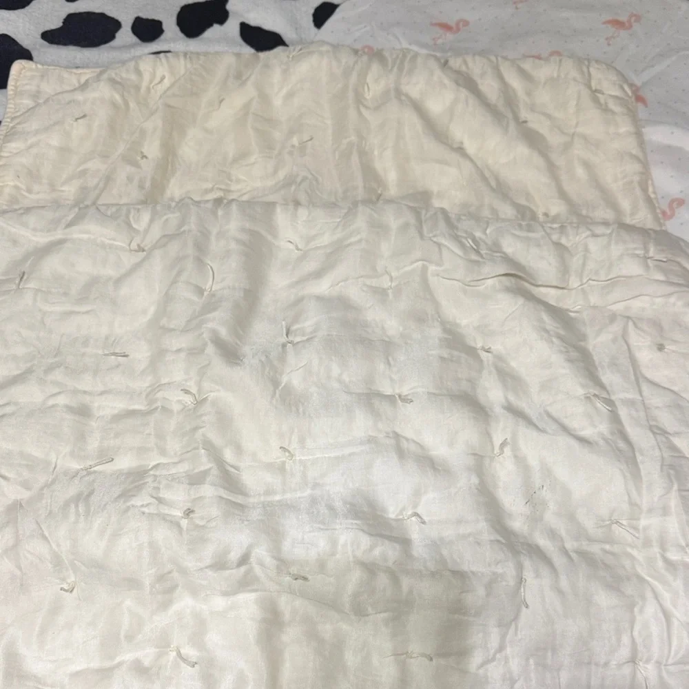 Pottery Barn pillowcases